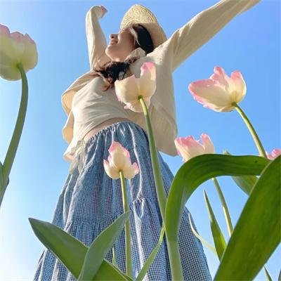 汤姆猫与杰利鼠:海盗寻宝