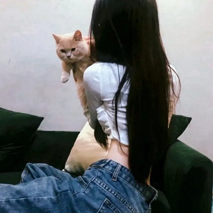 全家度蜜月